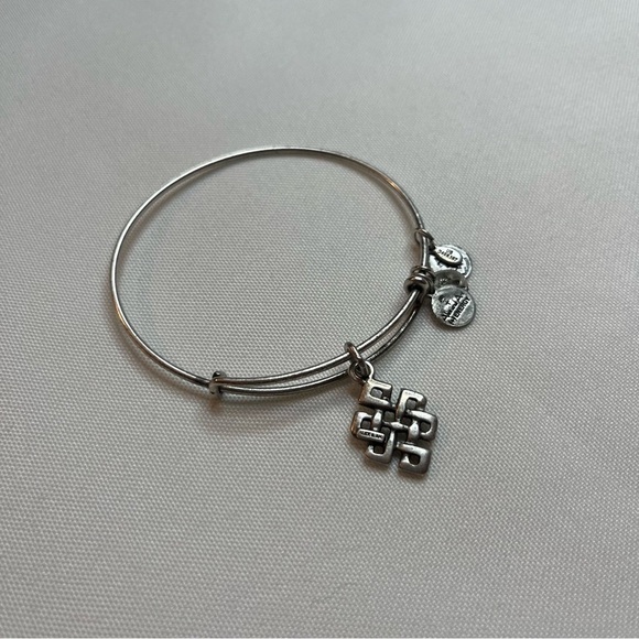 Alex And Ani Endless Knot Charm Antique Silver Finish Bangle Bracelet One Size - Picture 8 of 16